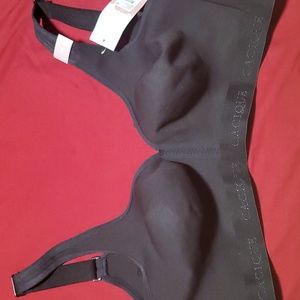 Cacique (Lane Bryant) bra